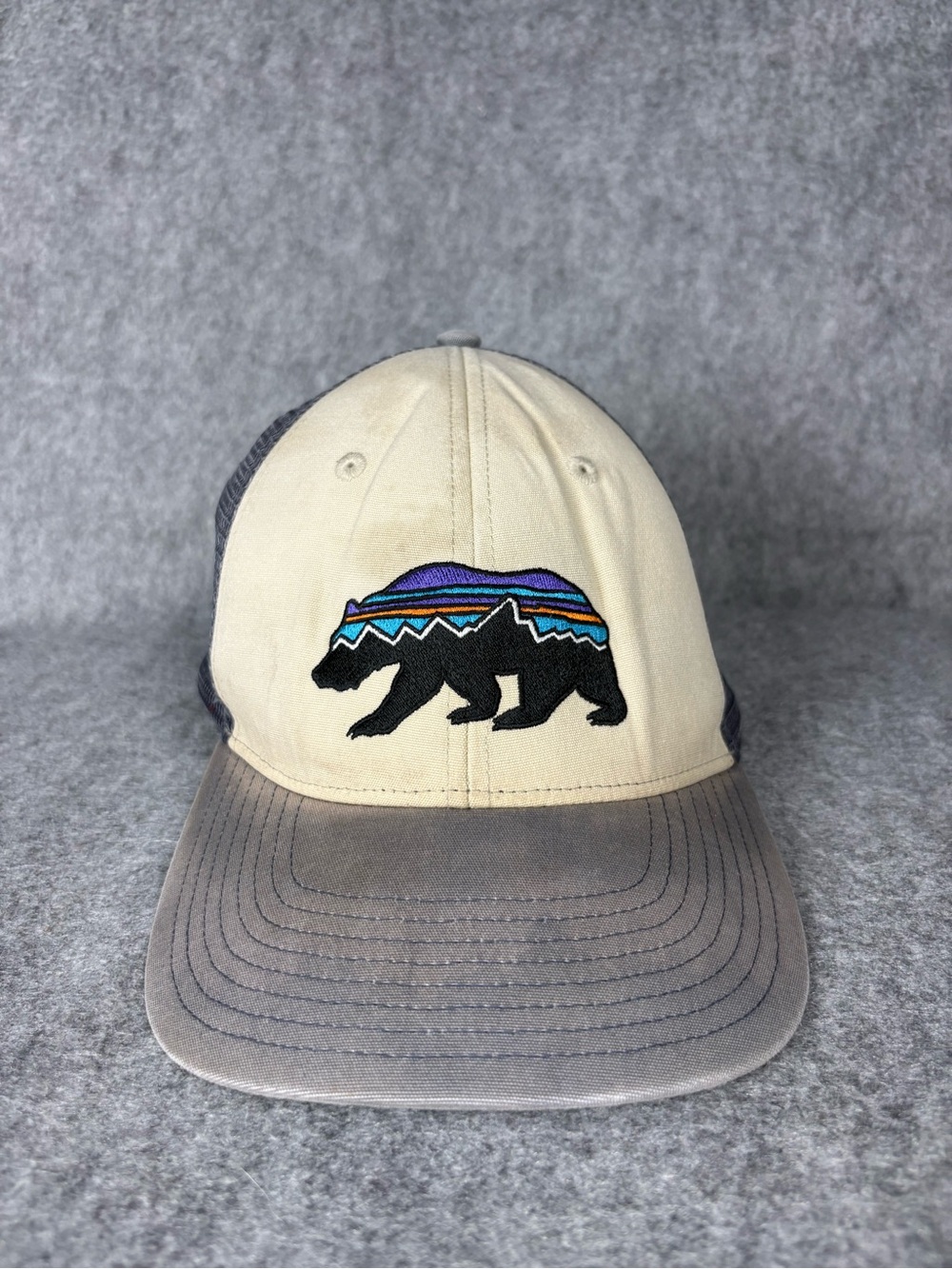 Patagonia Fitz Roy Bear Embroidered Mesh Trucker Hat